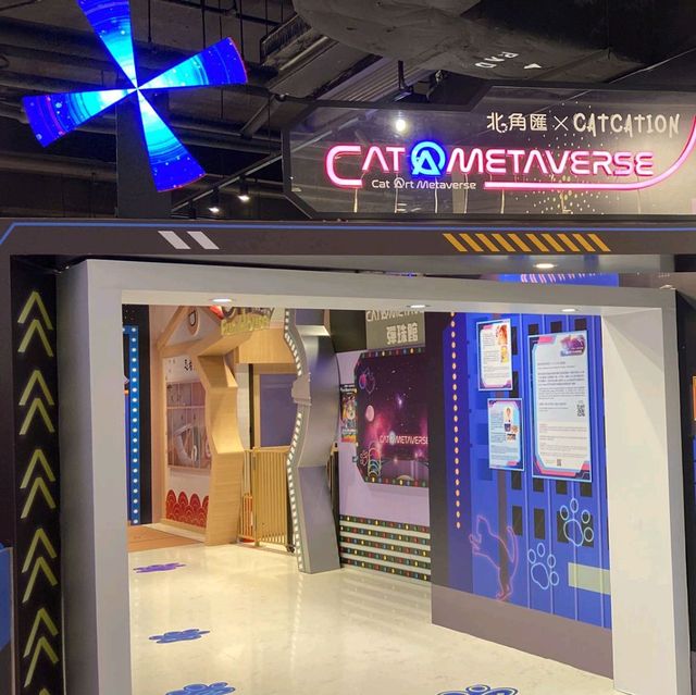 忍者貓道場！NFT CatCation Gallery！