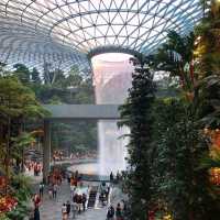 📍 SINGAPORE Changi Airport 