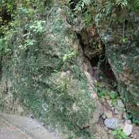 首里金城石畳道「真珠道」