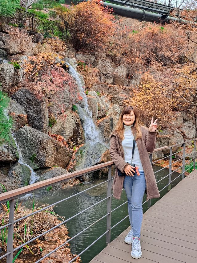Hwadam Botanic Garden at South Korea 🇰🇷