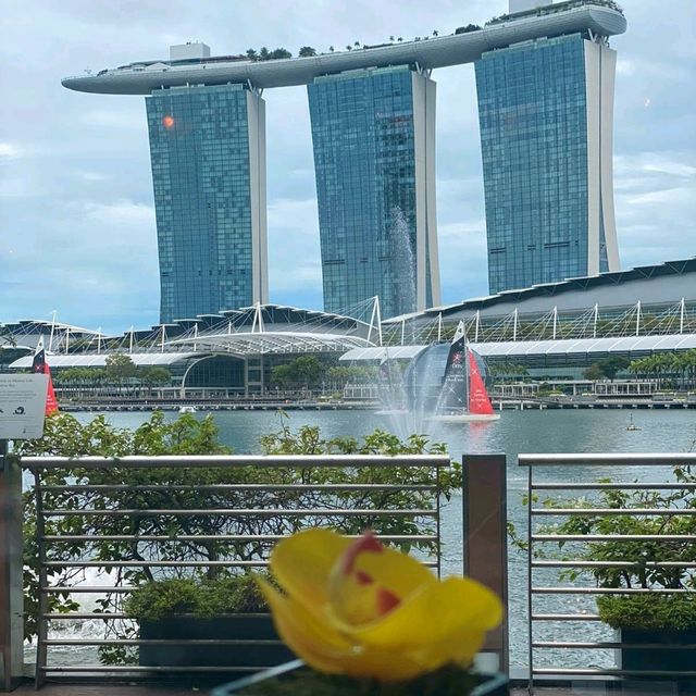 Afternoon Tea with a View