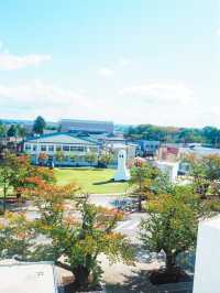 十和田市現代美術館