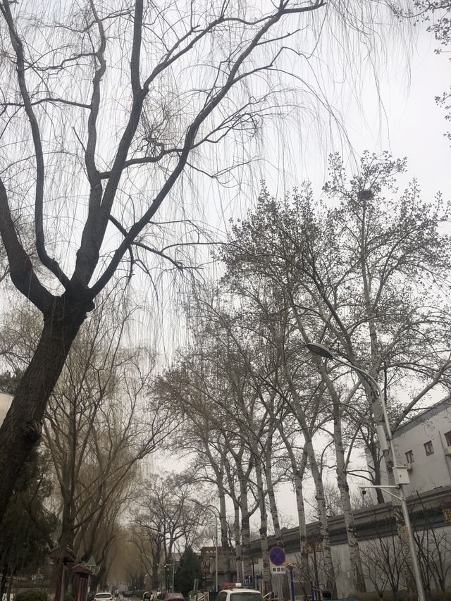 北京市中心的休閒公園