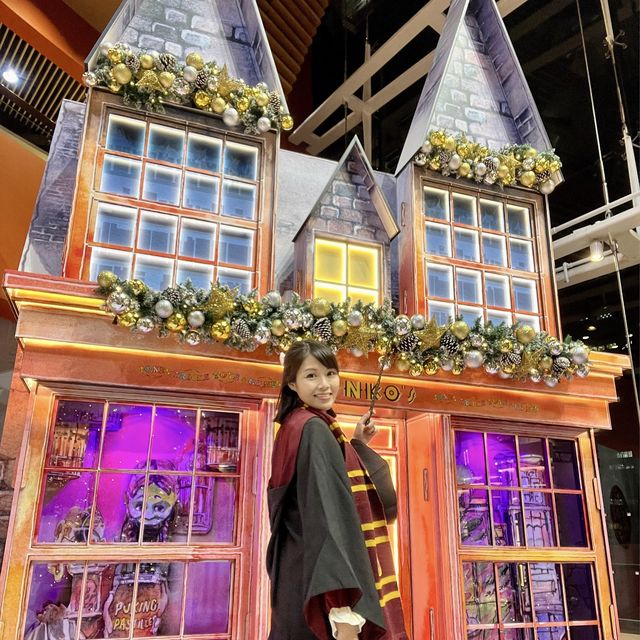 🎄Harry Potter的聖誕魔法世界✨