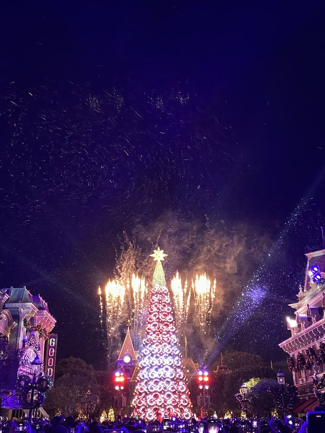 【玩樂】✨迪士尼|無憂無慮嘅魔法世界🎄✨ 【玩樂】✨迪士尼|無憂無慮嘅魔法世界🎄✨