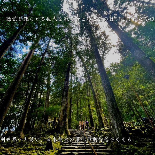 日本最大の滝