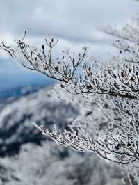 三重県【冬の御在所】樹氷が綺麗