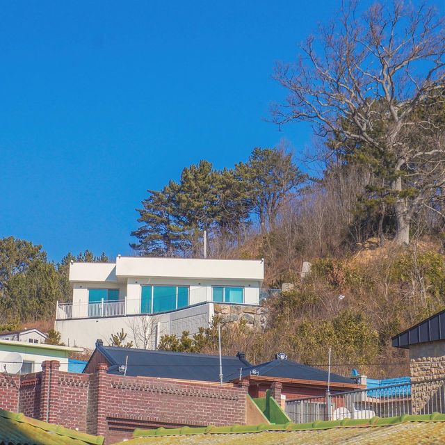 감성숙소에서 하루종일 바다 바라보기🎈