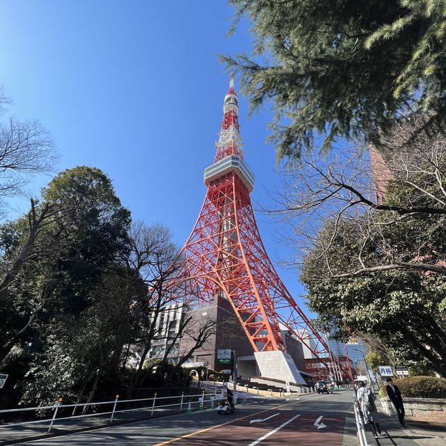 【東京】東京の観光名所といえば❗️の超有名観光スポット