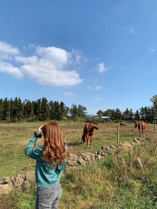 [성이시돌목장] 이국적인 제주 목장🐴