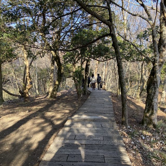【マストで行きたい！】箱根のポーラ美術館がオシャレすぎた