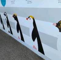 【京都】京都水族館の可愛すぎるペンギンさん✨✨