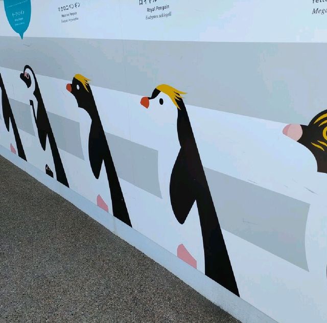 【京都】京都水族館の可愛すぎるペンギンさん✨✨