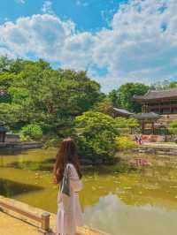 한국의 시크릿 가든 창덕궁 후원🍃