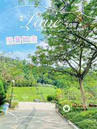 走進童話世界