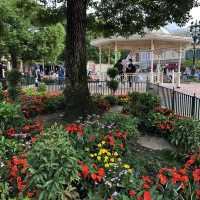 🏰迪士尼樂園賞花攻略🌺