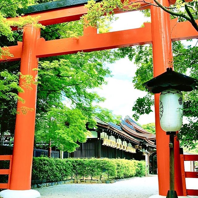 【京都】下鴨神社参拝後に立ち寄りたいグルメ