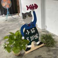 【台湾】猫好きにはたまらない、九份・十份行く途中に観光できる猴硐（ホウトン）