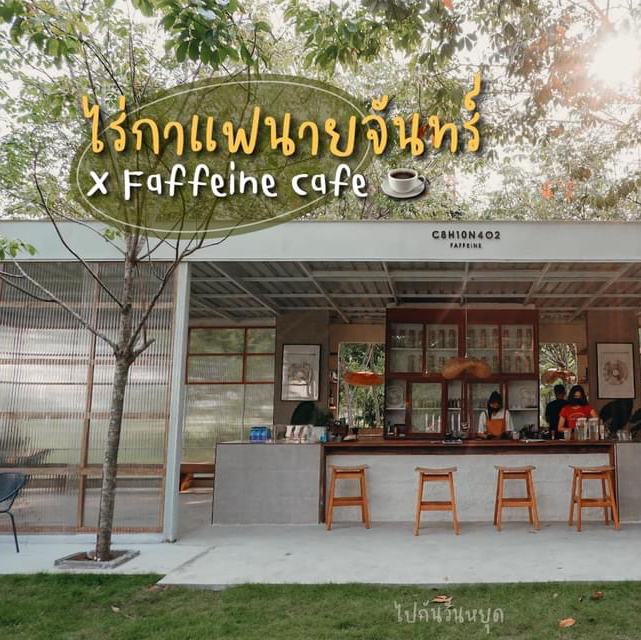 คาเฟ่ไร่กาแฟในสวนยางที่แรกที่เดียวในขอนแก่น ☕️🌳 | Trip.Com จังหวัดขอนแก่น