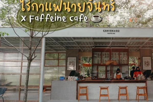คาเฟ่ไร่กาแฟในสวนยางที่แรกที่เดียวในขอนแก่น ☕️🌳 | Trip.com จังหวัดขอนแก่น