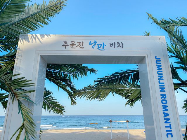 주문진 최고 핫플 BTS 정류장🚏