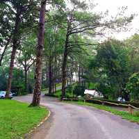 กางเตนท์อุทยานแห่งชาติตากสินมหาราช