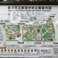 【新宿中央公園〜都会に広がる緑のオアシス〜】