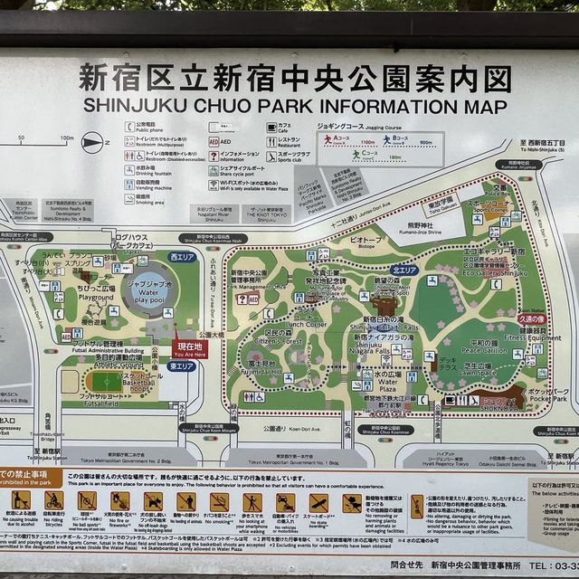 【新宿中央公園〜都会に広がる緑のオアシス〜】