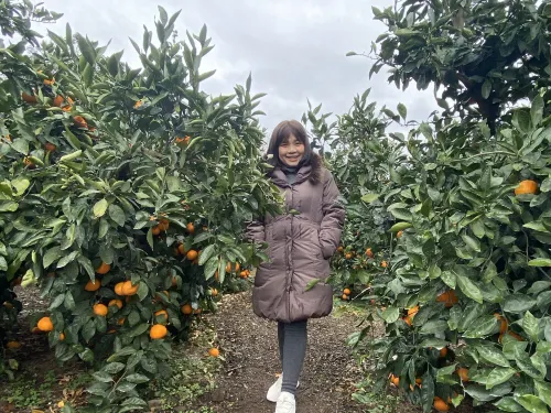 오렌지 따러 가자 ~ ~ 🍊💗🫶🏻🍊🌈