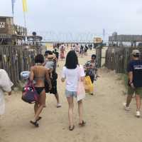 강원도 양양 핫한 바다_서피비치