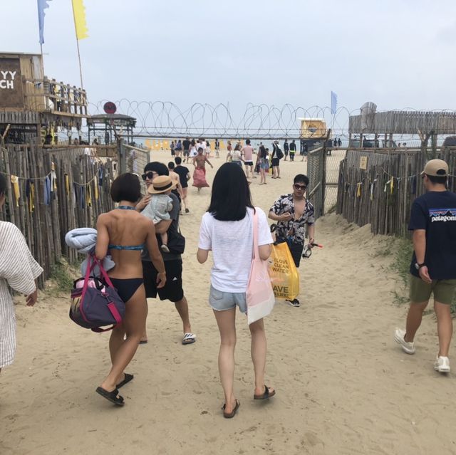 강원도 양양 핫한 바다_서피비치