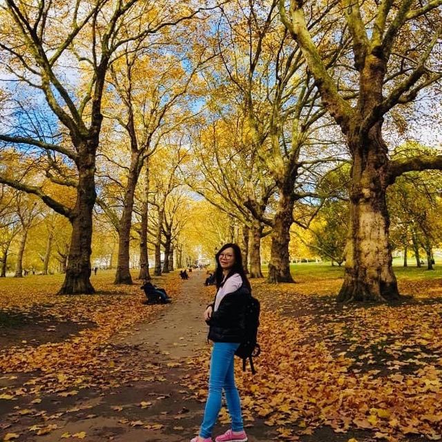 天空公園 하늘공원
