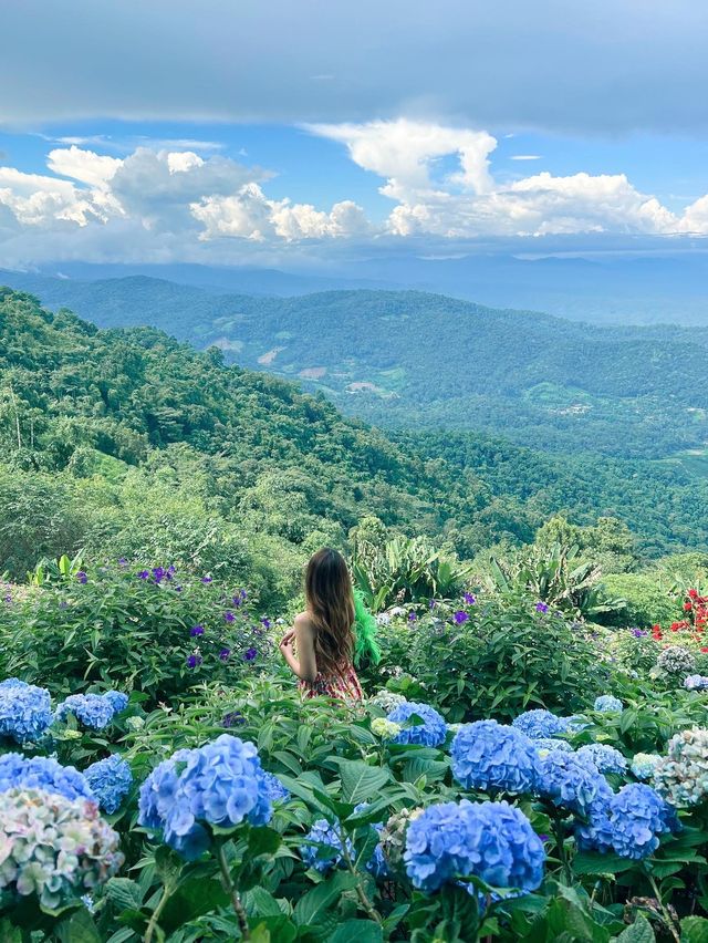 พาไปจิบกาแฟ ชมวิว ชมดอก กับคาเฟ่ชื่อดังบนม่อนแจ่ม⛰