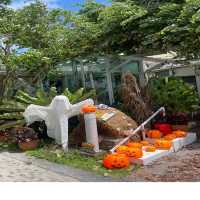 Halloween ที่ cafe cantary