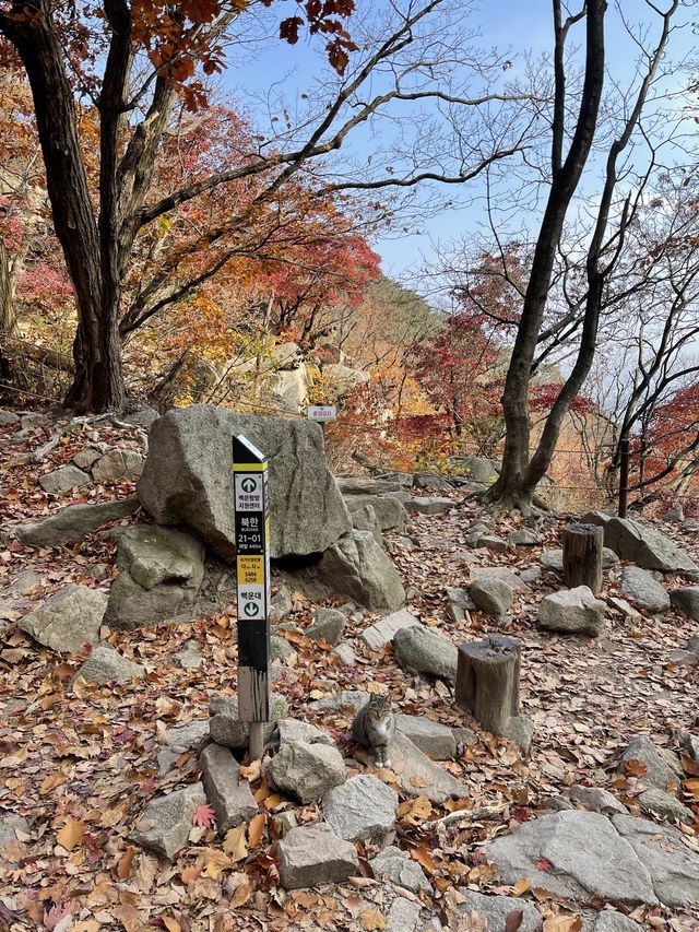 북한산 국립공원 ⛰️ 단풍 가득한 곳