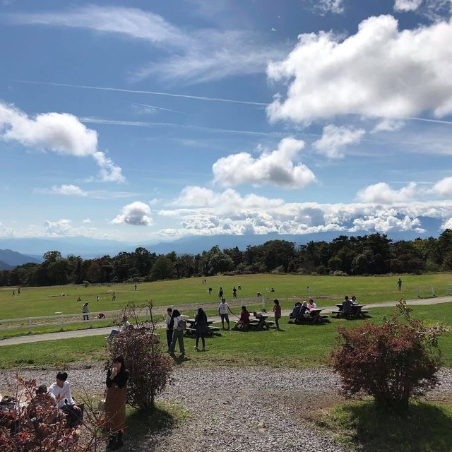 日本🇯🇵家庭好去處❤️清里高原牧場😌清泉寮