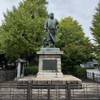 Relaxing Stroll at Ueno Park