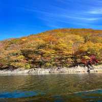 【新潟】遊覧船に乗りながら紅葉を楽しむ