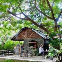 No. 39  คาเฟ่ เชียงใหม่
