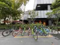 Quayside cycling