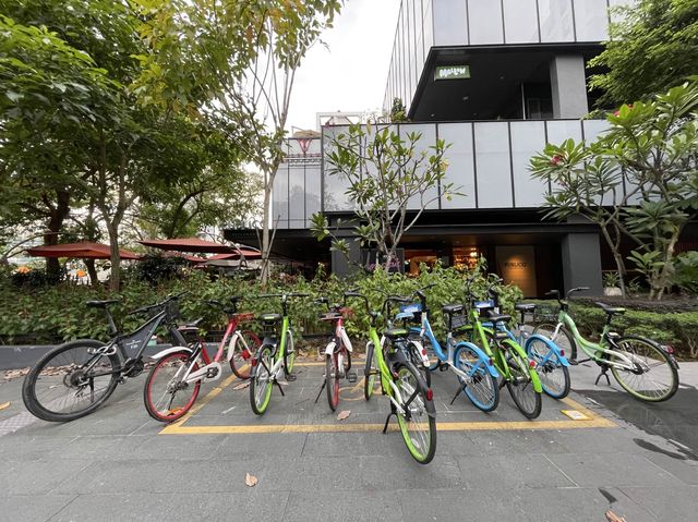 Quayside cycling