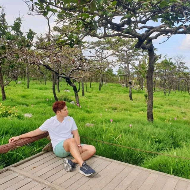 _+_+_อุทยานแห่งชาติป่าหินงาม_+_+_🐈🐾