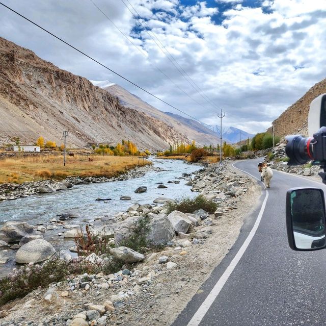 Autumn in Ladakh 🌿🍁
ฤดูใบไม้เปลี่ยนสีที่เลห์ 🇮