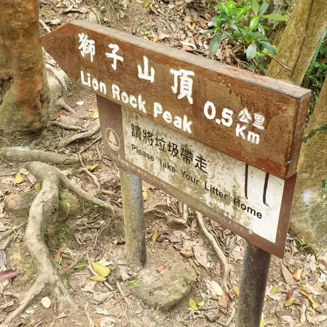 Hiking at Lion Rock Peak