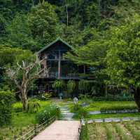 คาเฟ่ซ่อนตัวอยู่ท่ามกลางป่าเขาธรรมชาติ