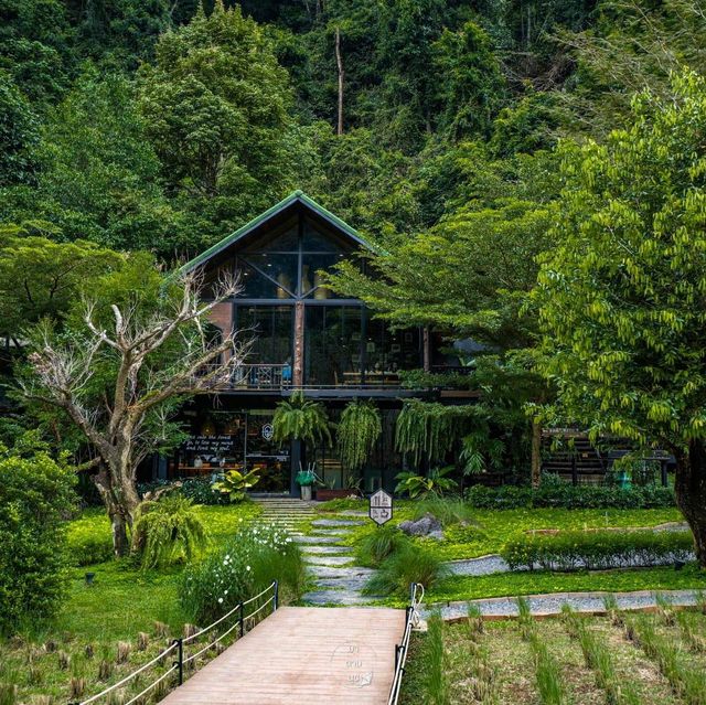 คาเฟ่ซ่อนตัวอยู่ท่ามกลางป่าเขาธรรมชาติ