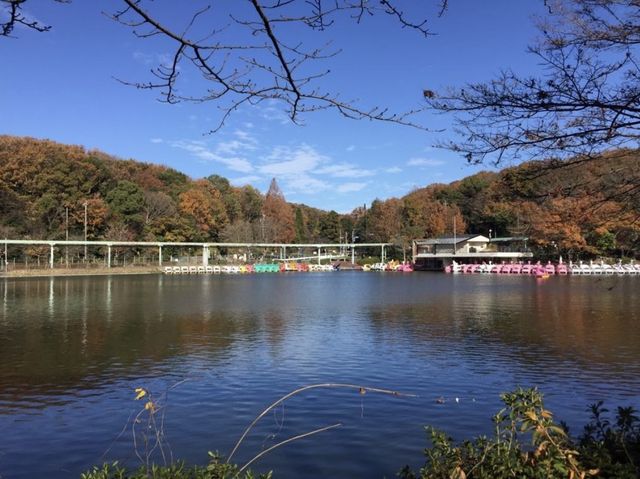 日本超大動植物園😍