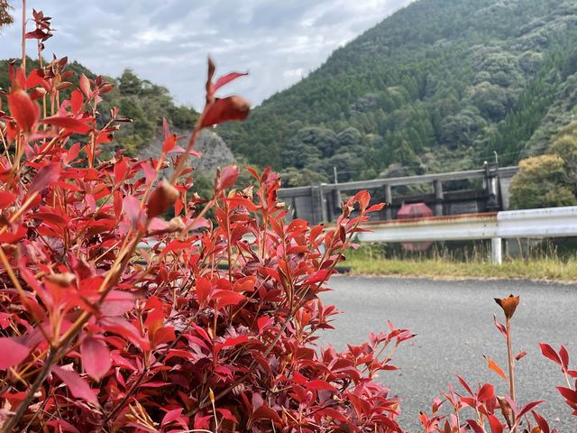 【熊本　天草】亀川ダム