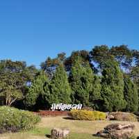 อุทยานธารงาม-ภูฝอยลม