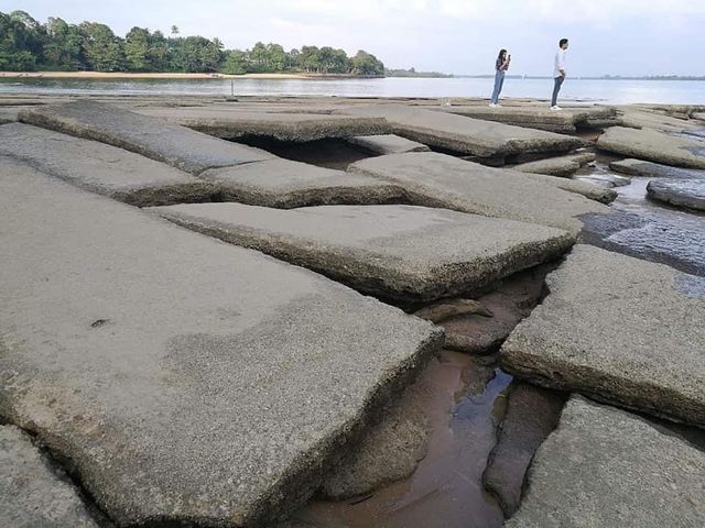สุสานหอย 75 ล้านปี